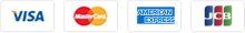 Kaze Voice Payment Methods